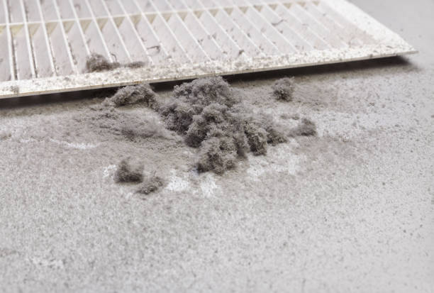 Best Residential Air Duct Cleaning  in Rochelle, GA