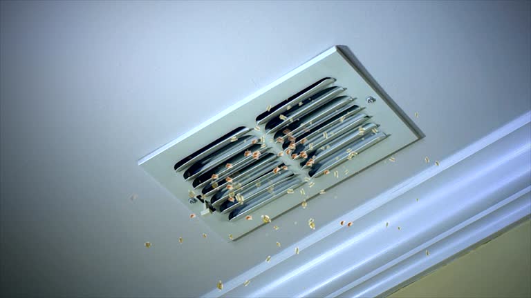 Best Emergency Air Duct Cleaning  in Rochelle, GA