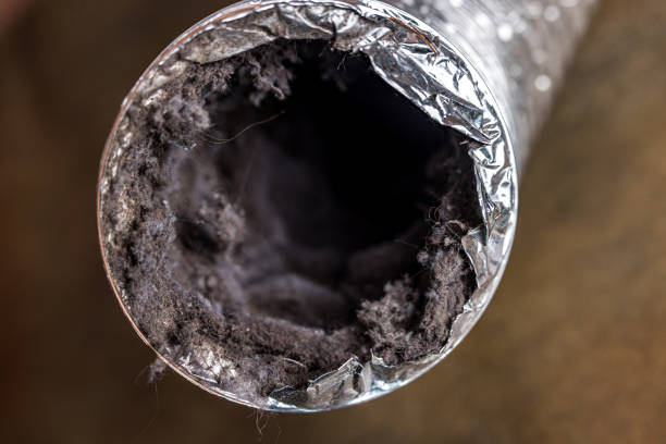 Best Affordable HVAC Duct Cleaning  in Rochelle, GA