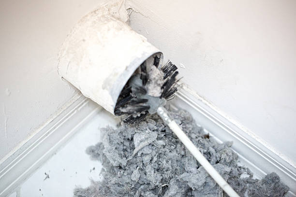 Best Professional Duct Cleaning Services  in Rochelle, GA